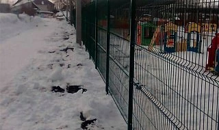 �����: ����� �� 3D ����� ��� ����