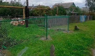 �����: ����� �� ������ �� �������� ��� ���� � ���������� ��� ����